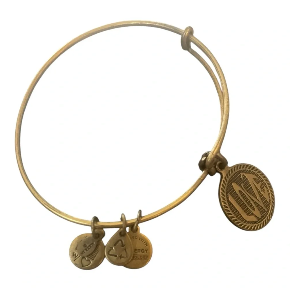 Alex & Ani Love Bracelet EUC - Picture 2 of 3